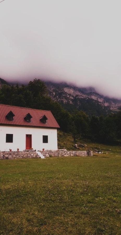 Guesthouse Freskia Theth Exteriér fotografie