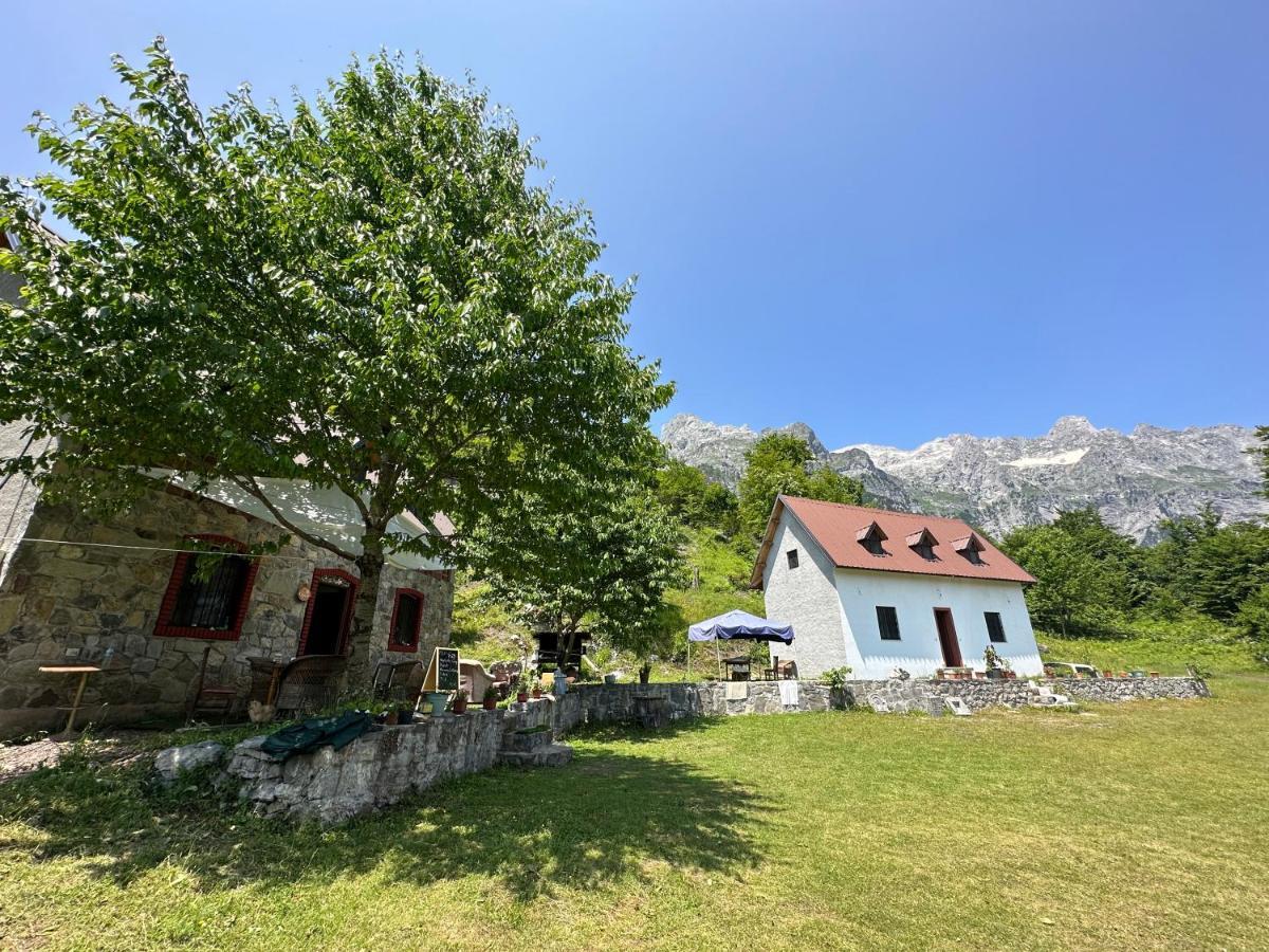 Guesthouse Freskia Theth Exteriér fotografie